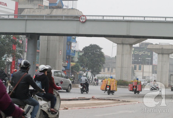 Chặt hết cây cổ thụ, nhiều người qua đường Nguyễn Trãi - Trần Phú tưởng bị lạc 10